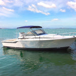 Blue Stainless Steel Cruiser Bimini Top on boat on water